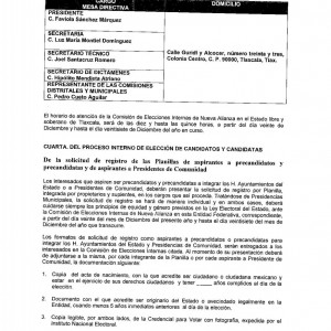 convocatoria ayuntamientos Proceso Interno Nueva Alianza Tlax (3) convocatoria ayuntamientos Proceso Interno Nueva Alianza Tlax (3)