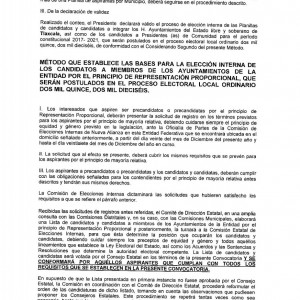 convocatoria ayuntamientos Proceso Interno Nueva Alianza Tlax (6) convocatoria ayuntamientos Proceso Interno Nueva Alianza Tlax (6)