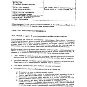 convocatoria gobernador Proceso Interno Nueva Alianza Tlax (3) convocatoria gobernador Proceso Interno Nueva Alianza Tlax (3)